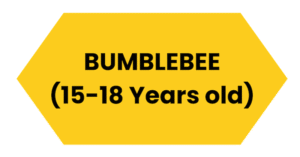 bumble bee 01