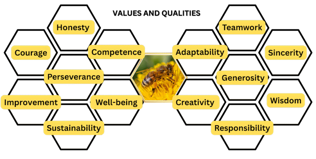 values and qaulities 01